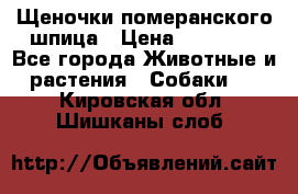 Щеночки померанского шпица › Цена ­ 25 000 - Все города Животные и растения » Собаки   . Кировская обл.,Шишканы слоб.